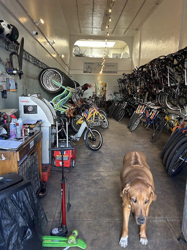 Santa Monica Beach Bicycle Rentals 3