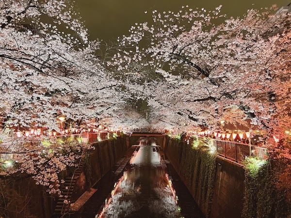 Lugares para visitar en Japón 9