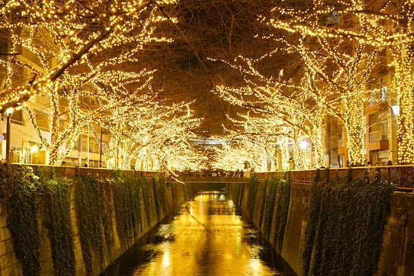 Meguro River Cherry Blossoms Promenade 3