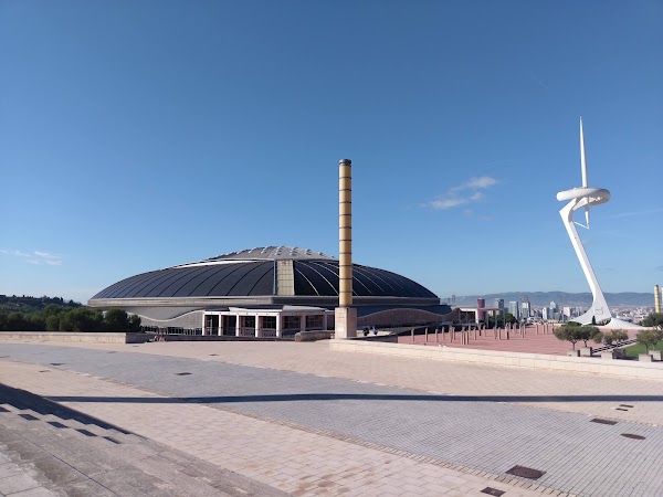 Olympic Ring 5