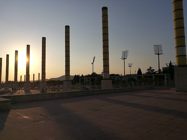 Olympic Ring 2