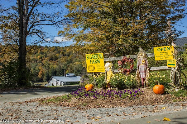Sugarbush Farm