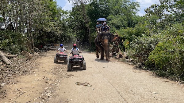 Paradise Trip ATV&Zipline Adventure and Paintball 5