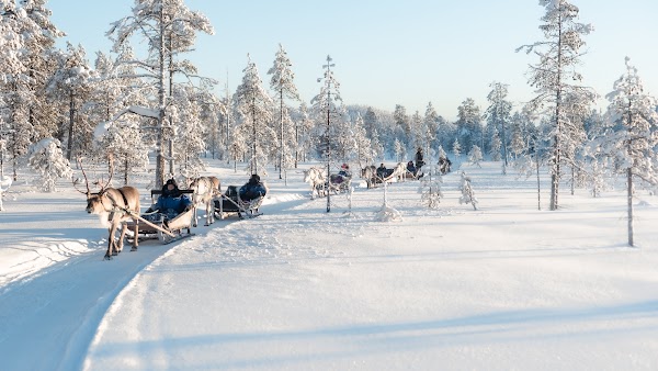 Salla Wilderness Park, Salla Reindeer Park 1