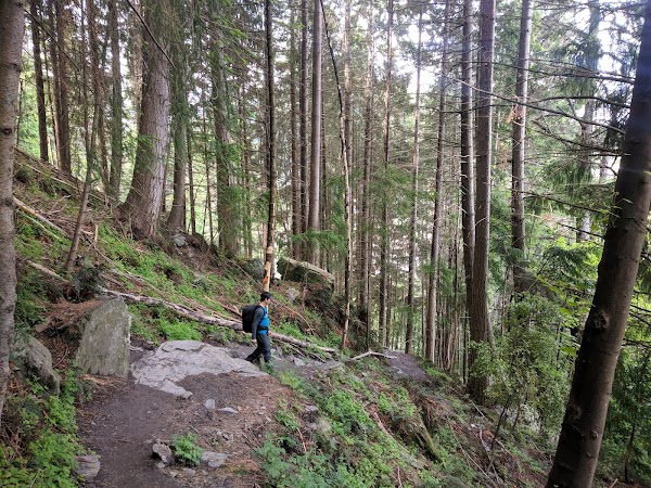 Tiki Trail- Top Station 2