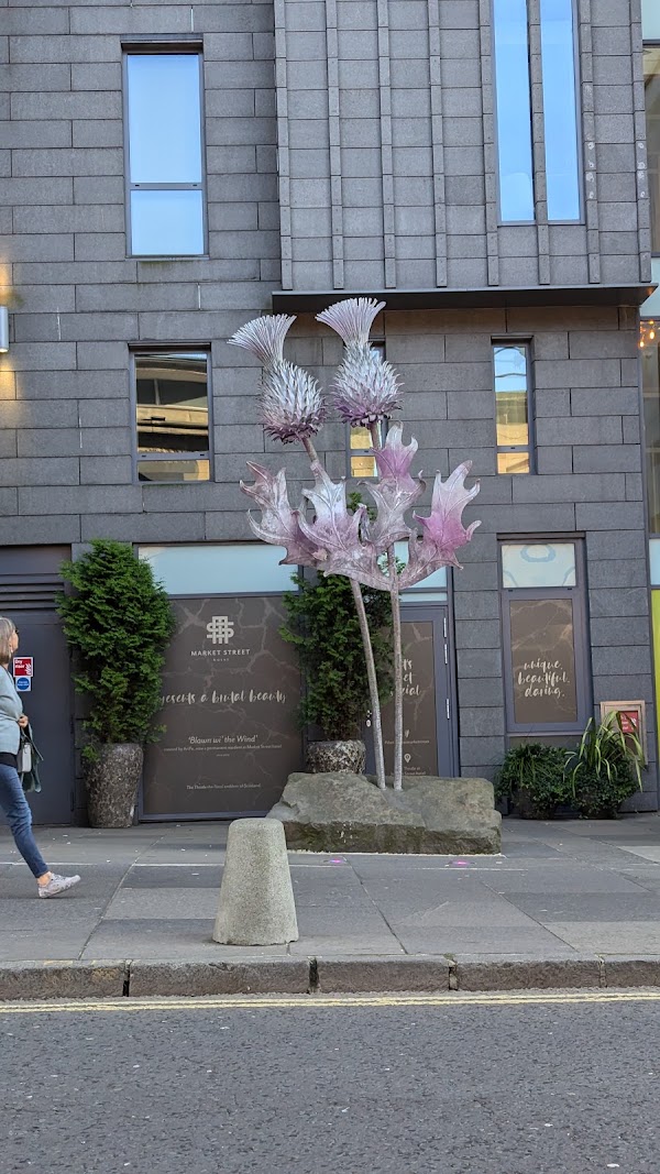 City Art Centre 3