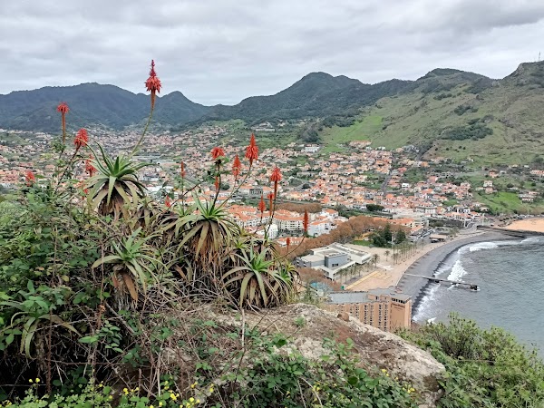 Machico 5