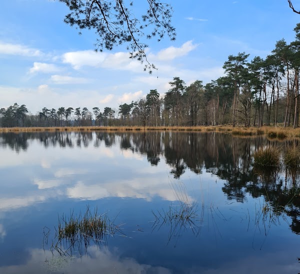 Lunsveen 1