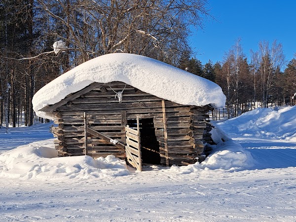 Levin Sammuntupa and Reindeer Farm 3