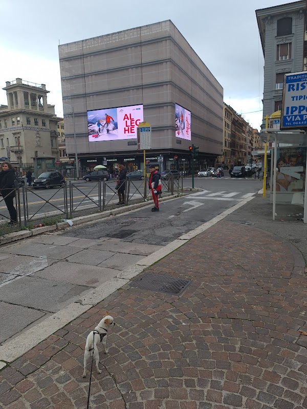 Piazza Fiume 5