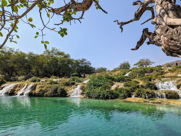 Wadi Darbat (Wilayat Taqah) 5