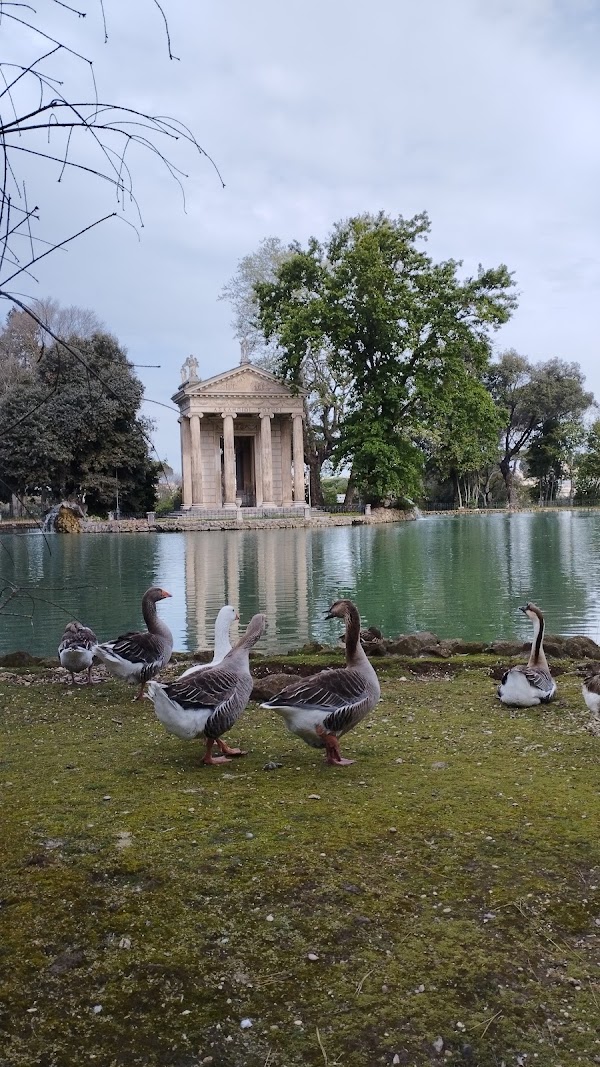 Temple of Aesculapius 4