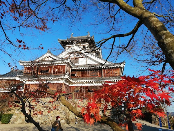 Fukuchiyama Castle Park 5