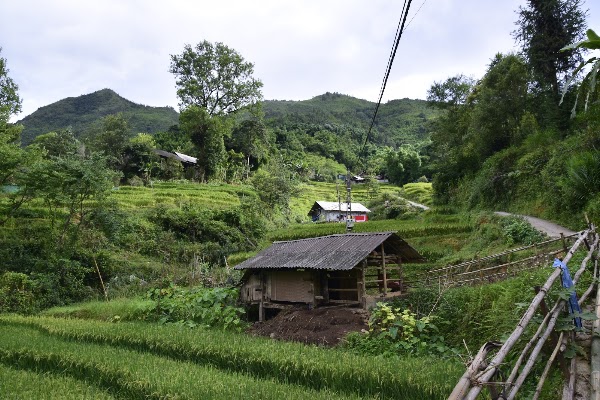 Hmong house Sapa