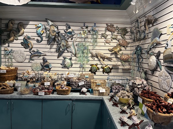 The Shell Cellar 5