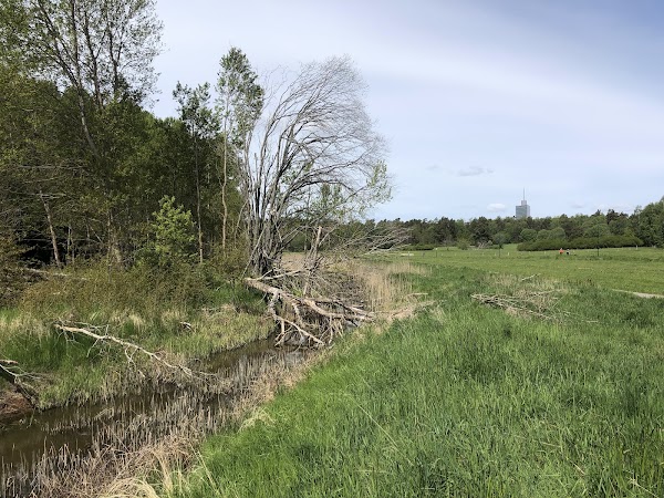 Igelbäckens Naturreservat 1