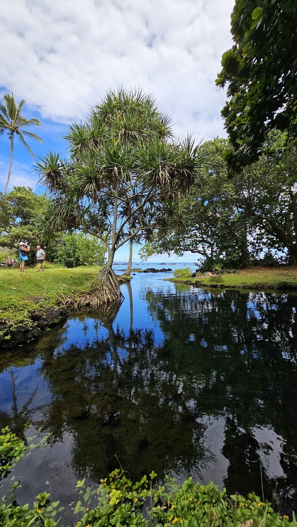 Carlsmith Beach Park 2
