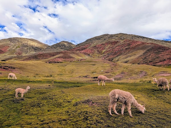 Rainbow Mountain Peru Travel Agency 4