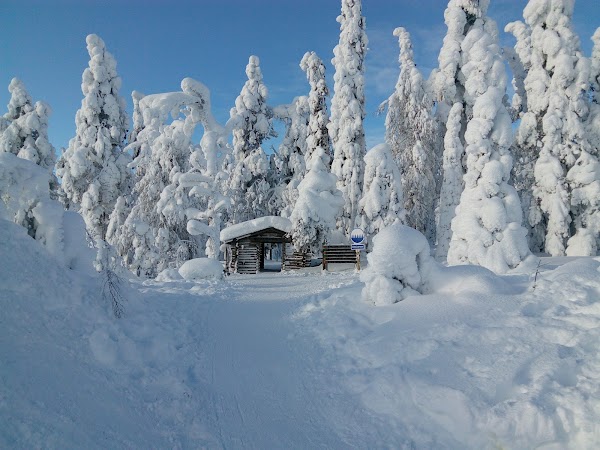 Riisitunturi National Park 3