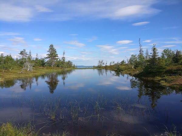 Riisitunturi National Park 2