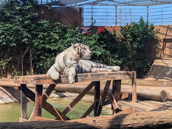 Pai Pai Ecotourism Park 5