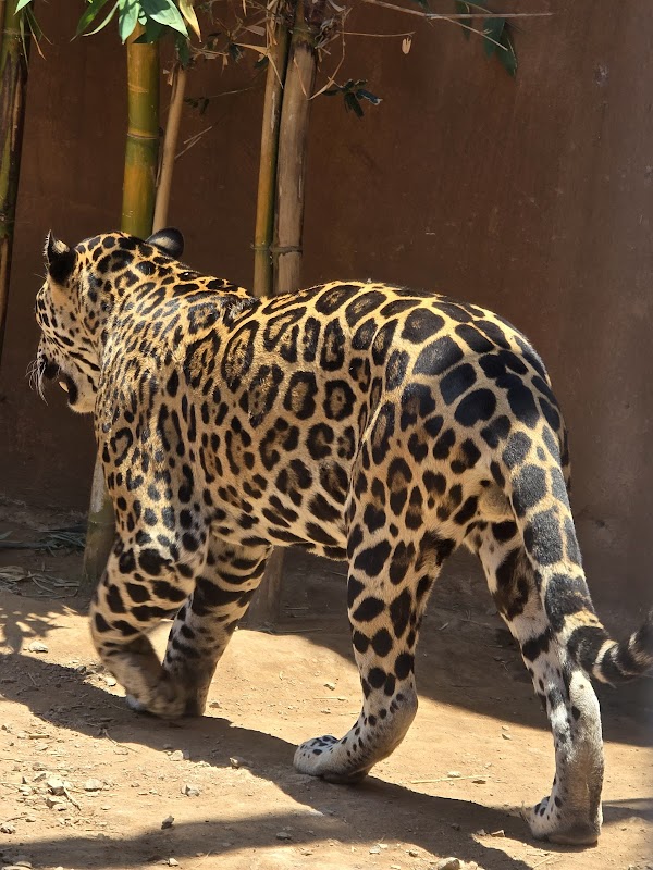 Pai Pai Ecotourism Park 4