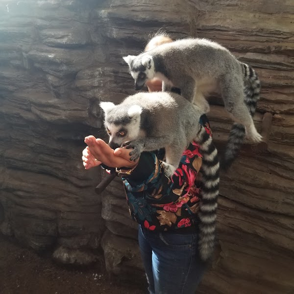 Pai Pai Ecotourism Park 3