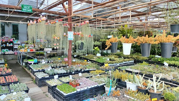 Kham Thiang Garden Market 5