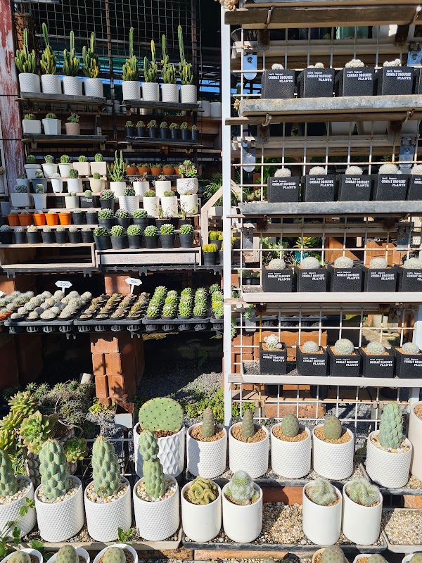 Kham Thiang Garden Market 4