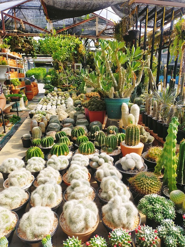 Kham Thiang Garden Market 2