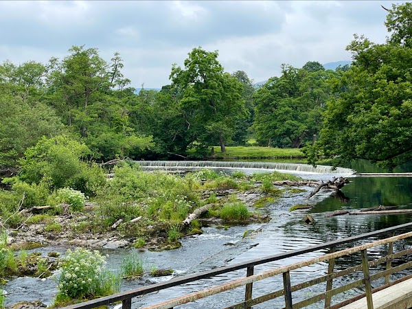 Horseshoe Falls 5