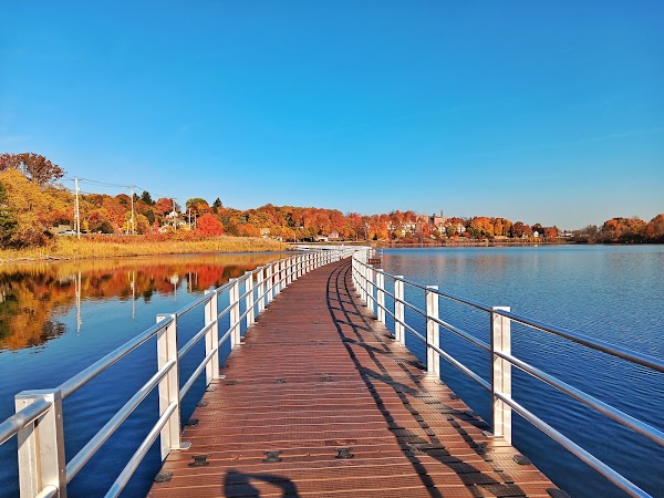 Lake Williams Boardwalk 1