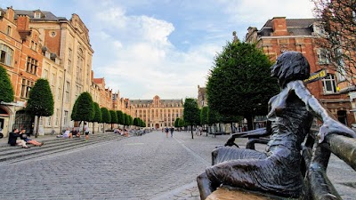 Holland & Belgien 22
