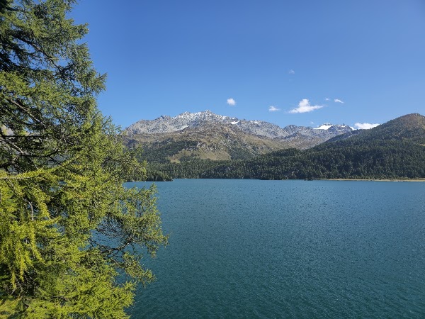 Lake Sils 5