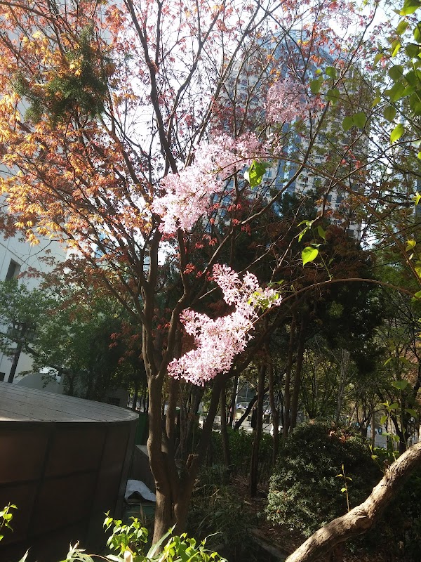 Gwanhun-dong