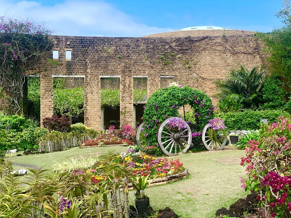 Tropical Dream Center 5