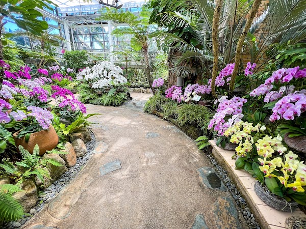 Tropical Dream Center 4