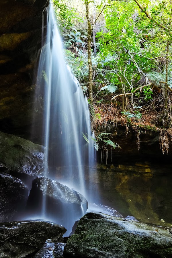 The Grotto