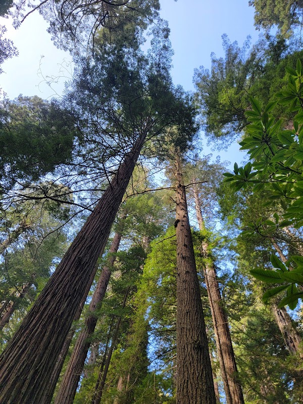Damnation Creek Trail 2