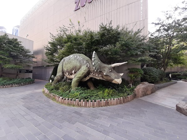 ZOORAJI Shinsegae Centum City 4