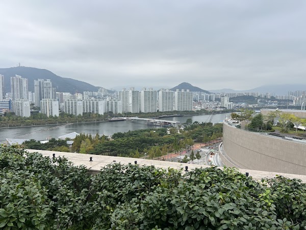 ZOORAJI Shinsegae Centum City 3