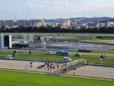 Tokyo Racecourse