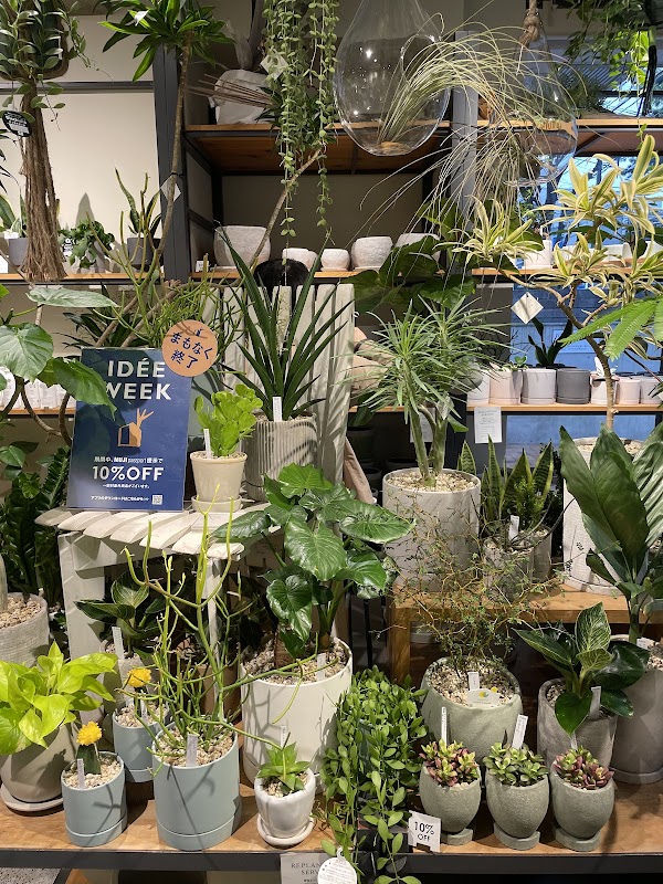 IDÉE SHOP Jiyugaoka 4