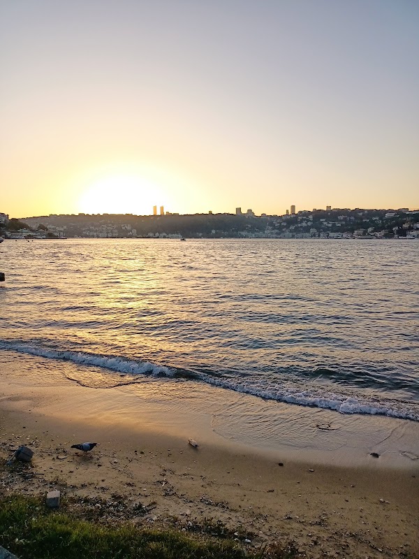 Küçüksu Kasrı Mesire Alanı 2