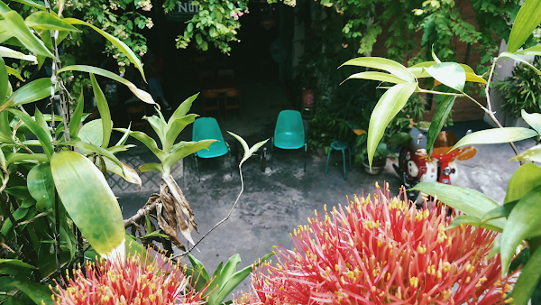 Nối Café 3