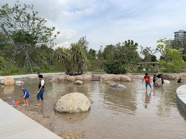 Clusia Cove
