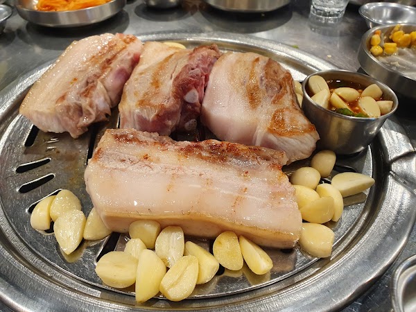 문치비 5