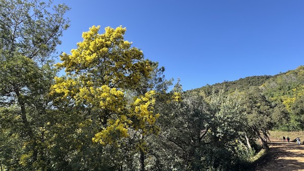 Promenades du Tanneron 1