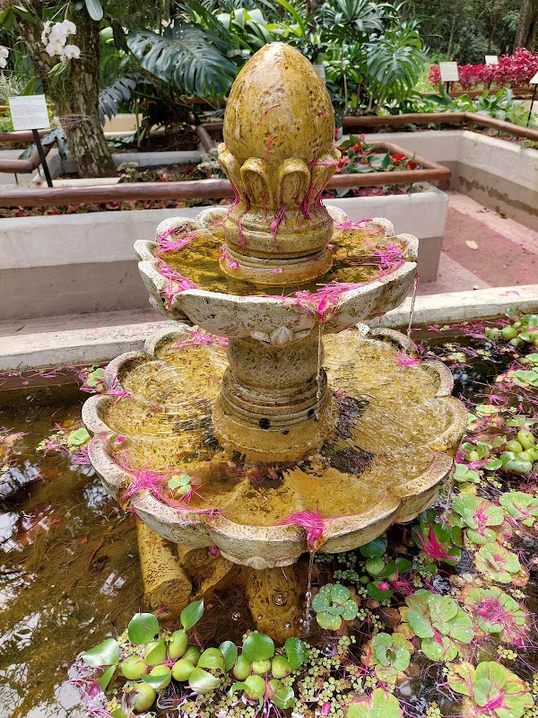 Jardim Botânico 2
