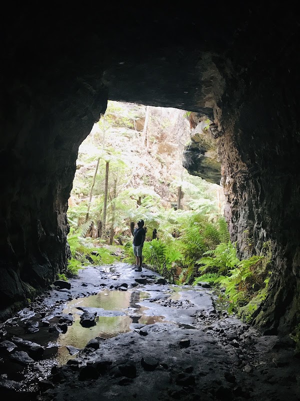 Glowworm Tunnel Road